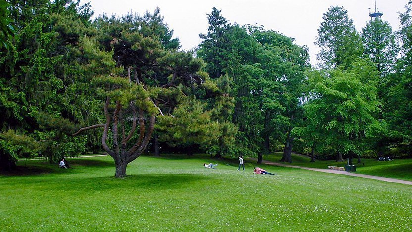 🌿 홋카이도대학 식물원(홋카이도 다이가쿠 쇼쿠부츠엔) 이미지 9